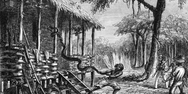 The Malay Archipelago