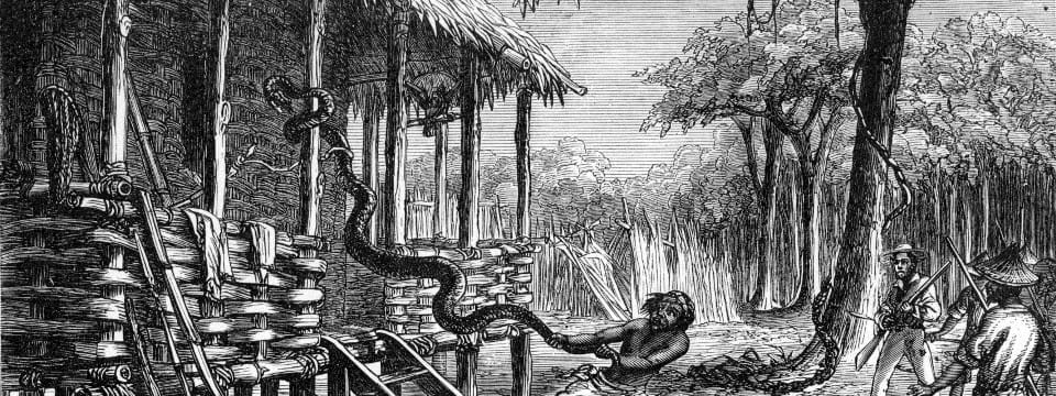 The Malay Archipelago