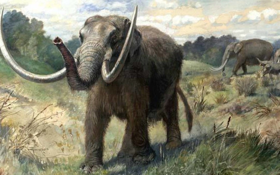What killed the Neanderthals?