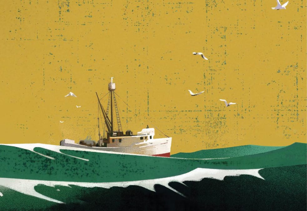 The Log From The Sea Of Cortez