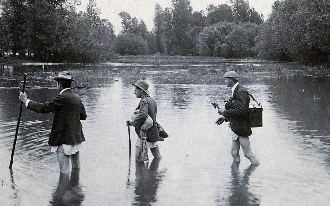 A Short Walk In The Hindu Kush