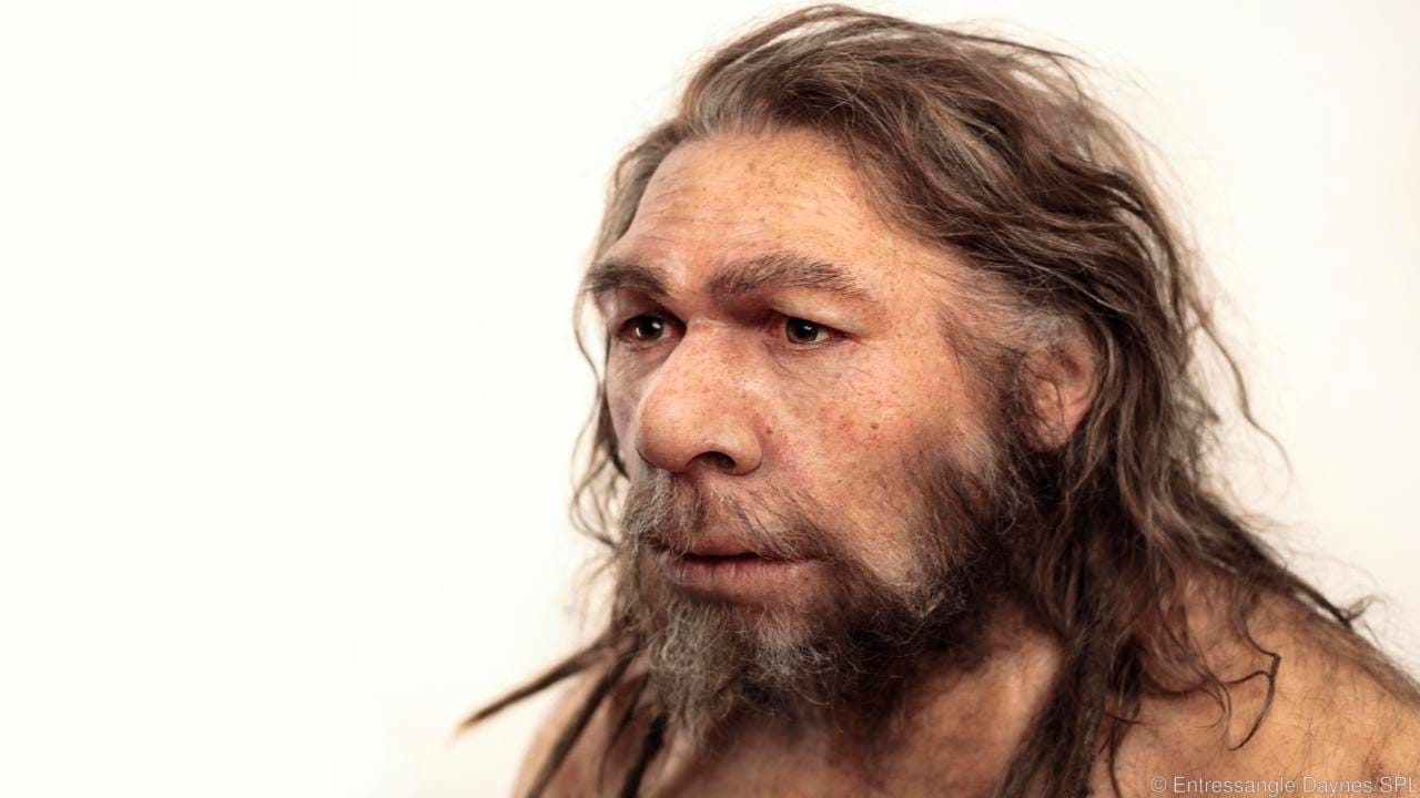 Sapiens