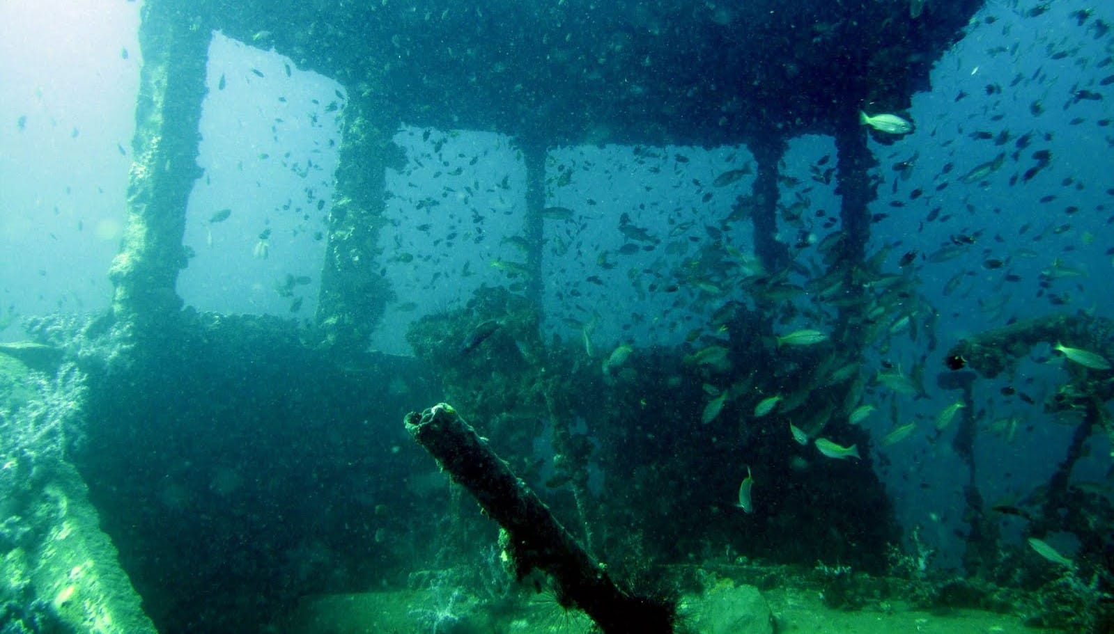 The Madonna of the Sea