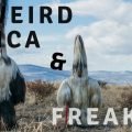 new weird america