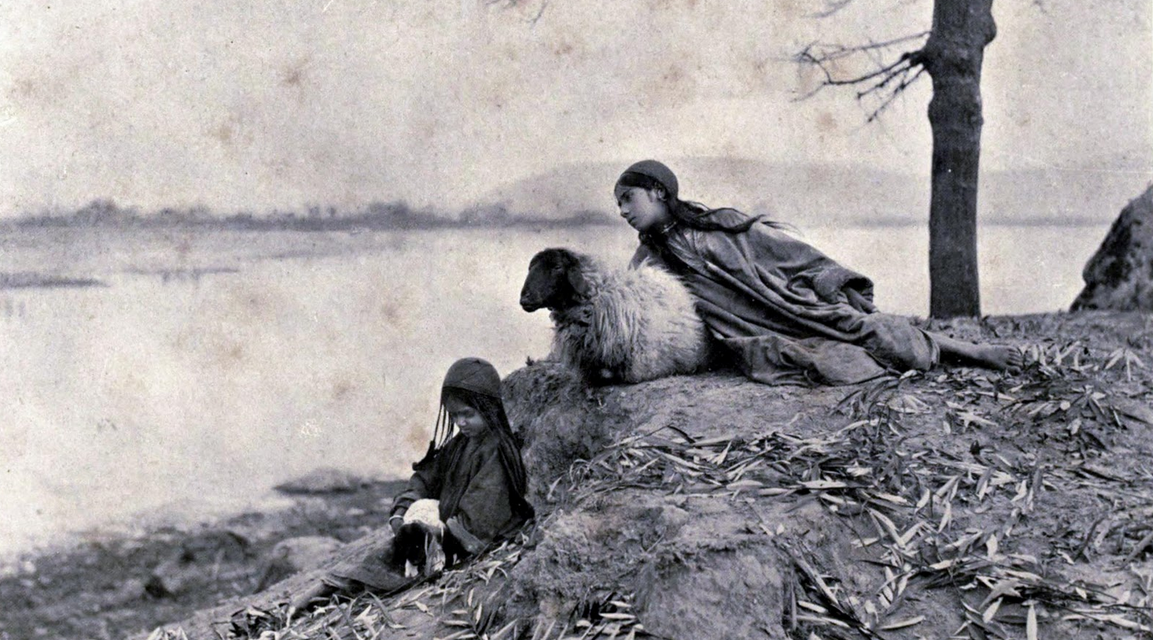 Courting The Wild Twin