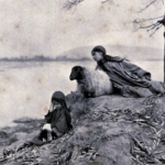 Courting The Wild Twin