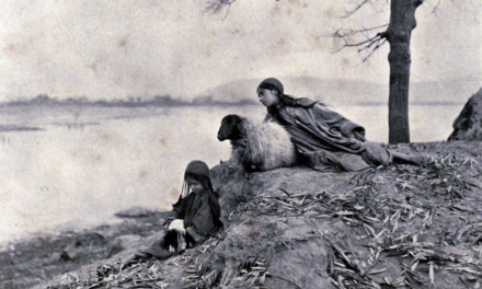 Courting The Wild Twin
