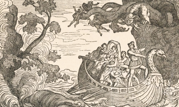 Courting The Wild Twin