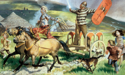 Courting The Wild Twin